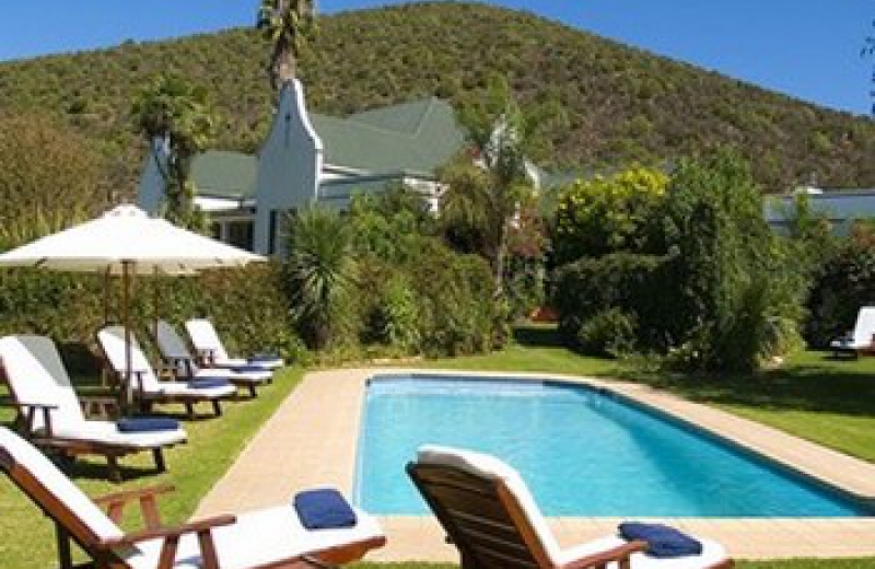 Het gastenhuis heeft een prachtige, bijna exotische tuin waarin gasten tot rust kunnen komen bij het zwembad of op de stoep