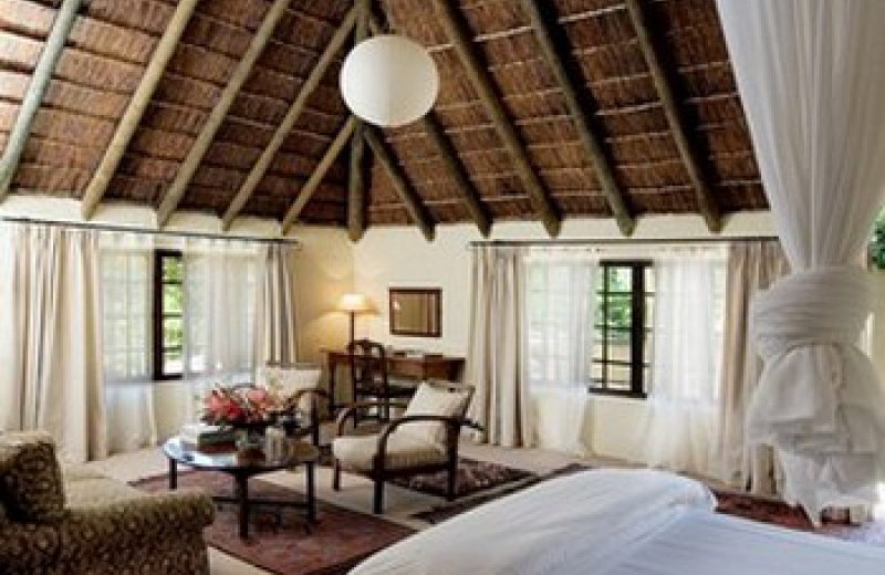 De kamers in Elephant House zijn zeer ruim en heel smaakvol ingericht in Afrikaanse stijl