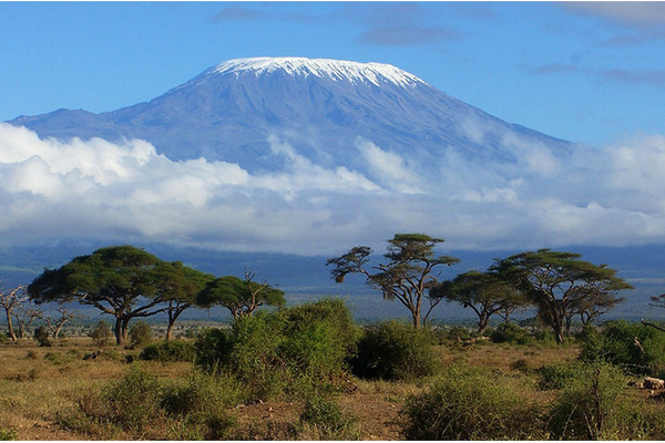Kilimanjaro beklimmen (Lemosho Route)