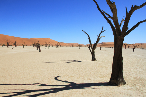 Namibie Ontrafeld
