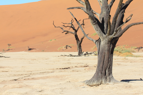 Terug naar de Namibische Roots en Natuur